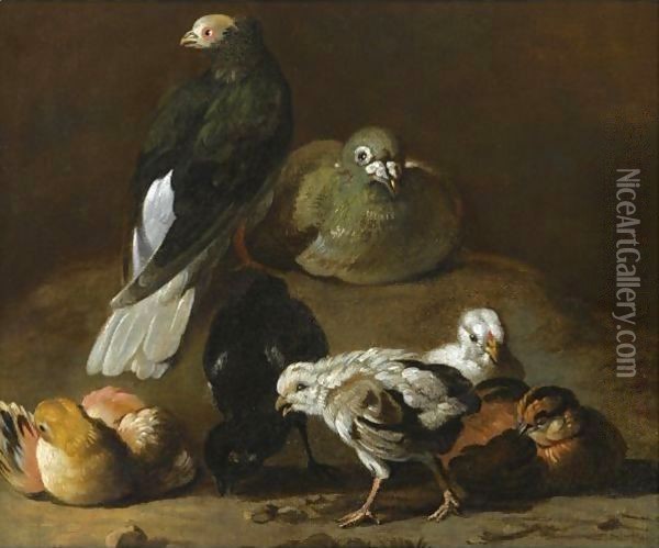 A Still Life With A Couple Of Pigeons Nesting And Preening Together With Four Chicks Oil Painting - Jan Victors