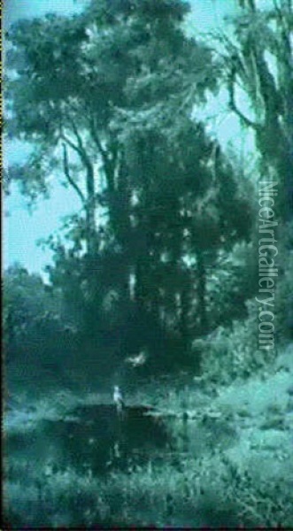 Herons Beside A Woodland Pool Oil Painting - Fulvia Bisi