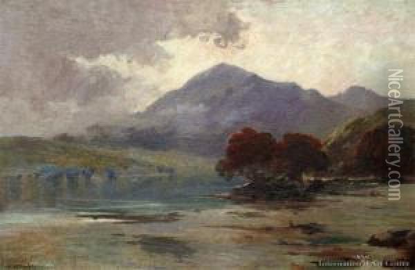 Evening Light, Pohutukawa's Oil Painting - Walter Wright