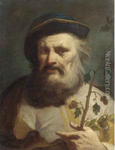 Ritratto Di Vecchio Con Ramo In Mano Oil Painting - Domenico Maggiotto
