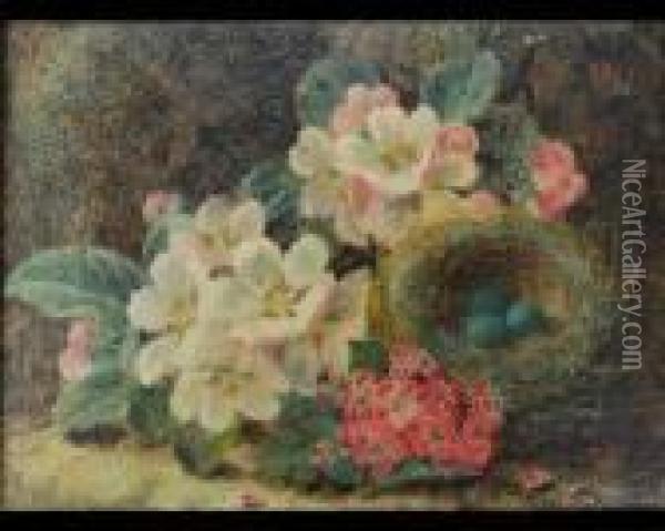 Birds Nest And Apple Blossom On A Mossy Bank Oil Painting - Oliver Clare