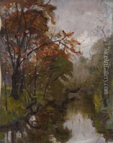 Trees By The Dodder Oil Painting - Sarah Henrietta Purser