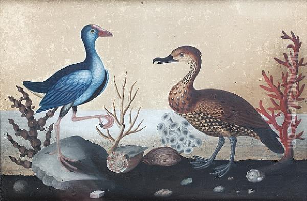 Irish George Iiembossed Bird Oil Painting - Samuel Dixon