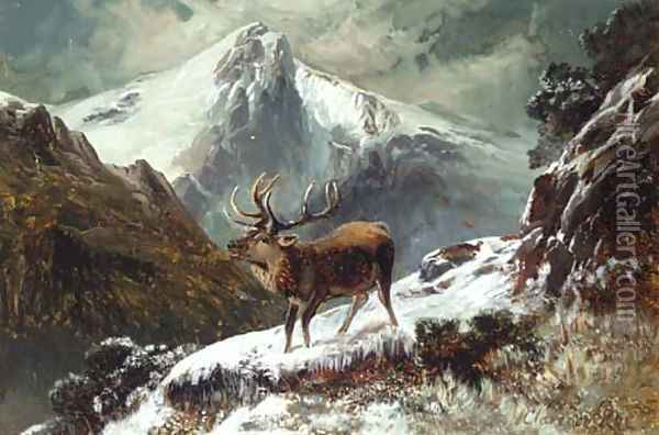 A stag in a midnight winter landscape Oil Painting - Clarence Roe