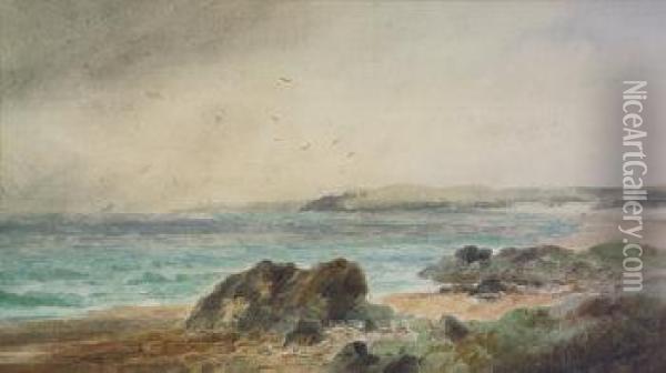 Coast Of Dublin Oil Painting - Alexander Williams