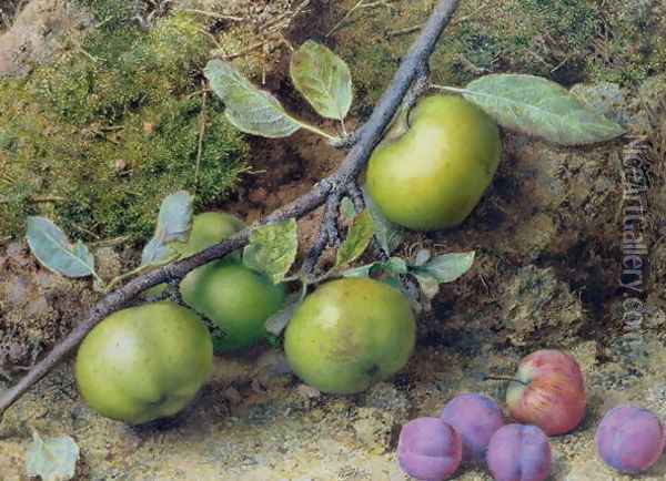 Apples and Plums on a Mossy Bank Oil Painting - John Sherrin