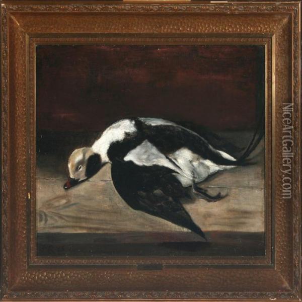 Long-tailed Duck Oil Painting - Jorgen Roed
