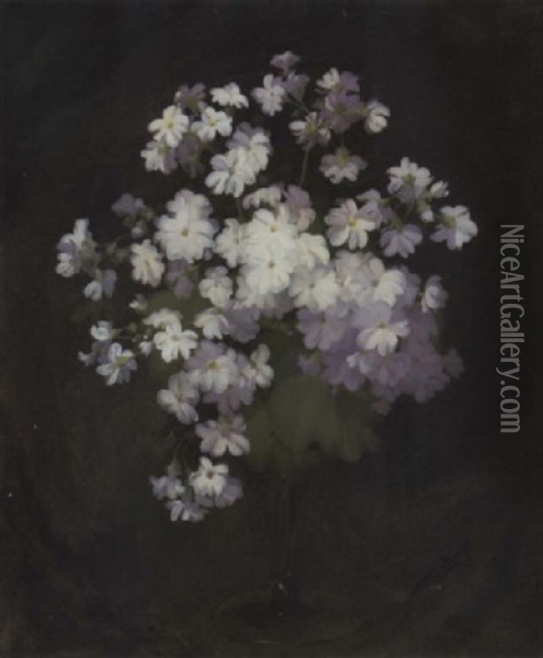 White Violas In A Vase Oil Painting - Stuart James Park