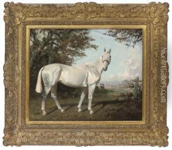 A Grey Hunter In An Extensive Landscape Oil Painting - James Lynwood Palmer
