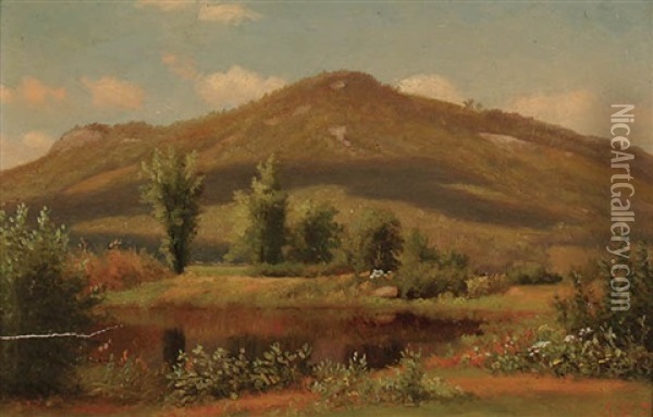 Meadow Pond Oil Painting - Alfred T. Ordway