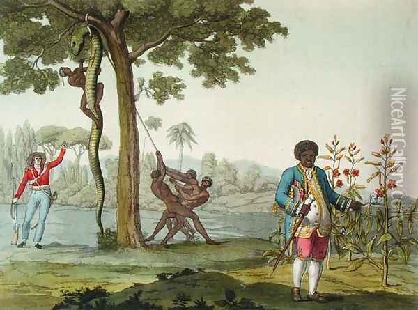 Portrait of Graman Quacy with his discovery Quaciae and the killing of a snake in Surinam, Guiana, illustration from 'Le Costume Ancien et Moderne' Oil Painting - G. Bramati