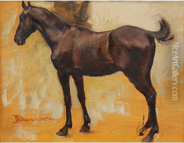 Il Cavallo Oil Painting - Giuseppe Barison