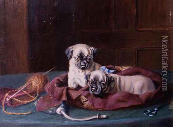 Pug Puppies in a Basket Oil Painting - Horatio Henry Couldery