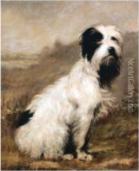Bearded Terrier Oil Painting - Maud Earl