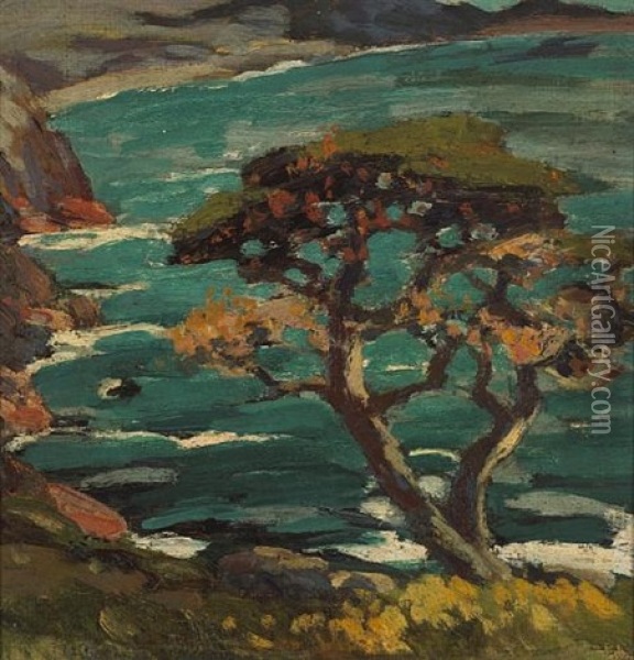 Seaside Cypress (point Lobos?) Oil Painting - Mary Deneale Morgan