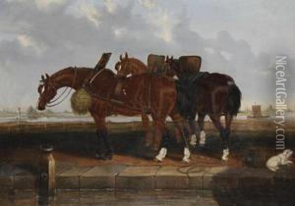 Barge Horses By A Canal Oil Painting - Martin Theodore Ward