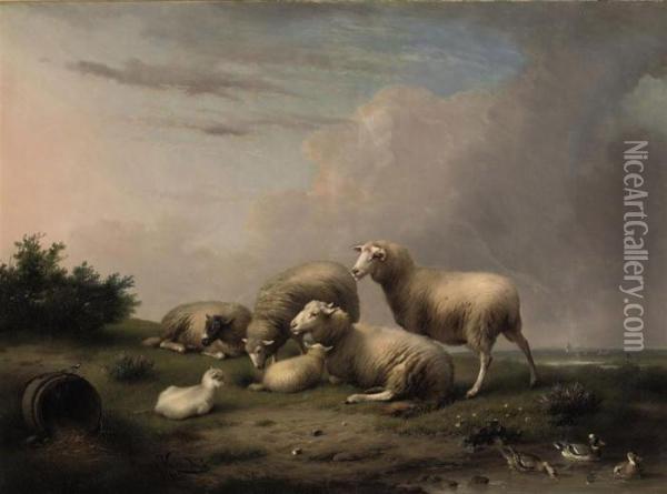 Sheep In A Summer Landscape Oil Painting - Franz van Severdonck