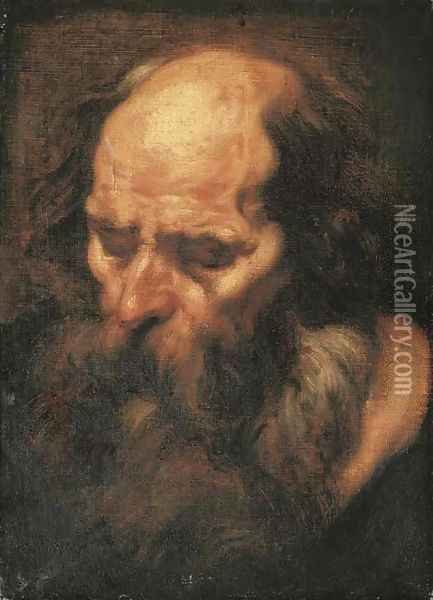 The head of a bearded man Oil Painting - Jacob Jordaens