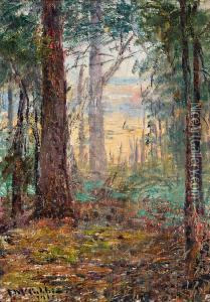 Forest Macedon Oil Painting - Frederick McCubbin