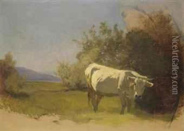 Kuh In Landschaft Oil Painting - Rudolf Koller