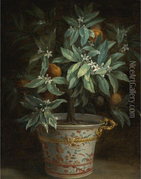 L'oranger Oil Painting - Jean-Baptiste Oudry