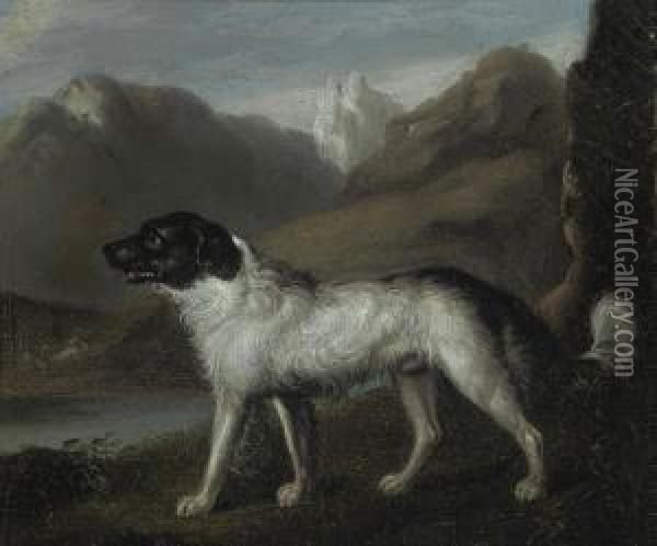 A Mountain Hound Oil Painting - Samuel Raven