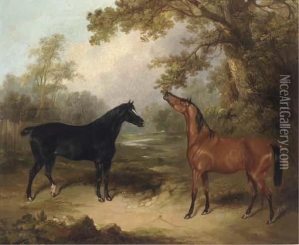 A Black Horse And A Chestnut Horse In An Oak Wood Oil Painting - Charles Henry Schwanfelder