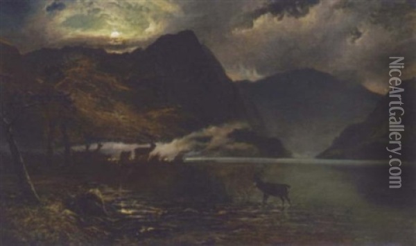 Stags Watering By A Moonlit Loch Oil Painting - Clarence Henry Roe