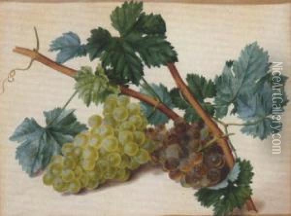 Grapes On The Vine Oil Painting - Leopold Stoll