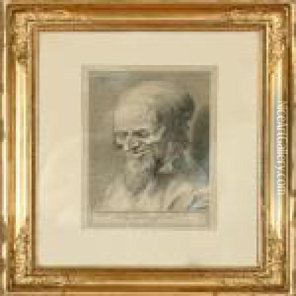 A Gentleman's Portrait. Signed 
Monogram In The Print. Recent Print. Etching. Visible Size 38 X 25 Cm Oil Painting - Albrecht Durer