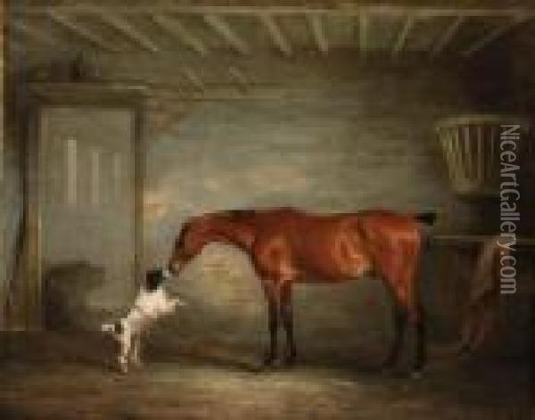 A Bay Hunter With A Poodle In A Stable Oil Painting - John Snr Ferneley