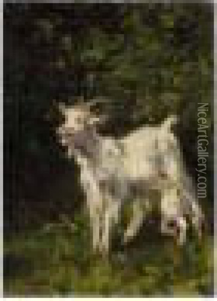 Goat And Its Kid Oil Painting - Giuseppe Palizzi