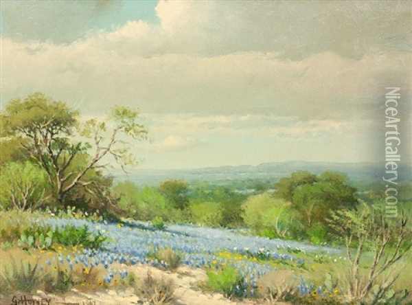 Bluebonnets Oil Painting - Harvey G. Prusheck