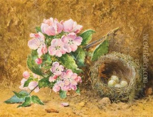 Apple Blossom And Nest Oil Painting - John Jessop Hardwick