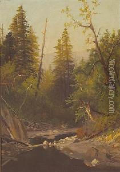 Near Felton, Santa Cruz Mountains,california Oil Painting - Frederick Ferdinand Schafer