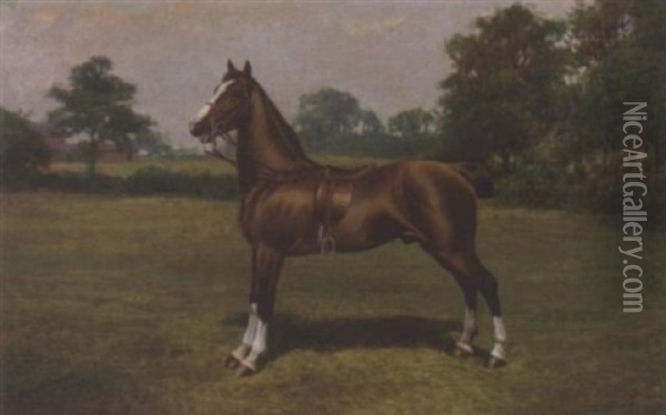 A Saddled Light Brown Hack In A Landscape Oil Painting - Henry John Sylvester Stannard