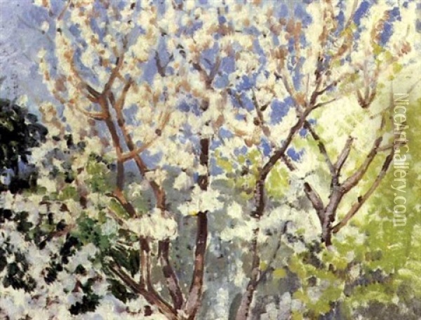 Cerisiers En Fleurs Oil Painting - Theo van Rysselberghe