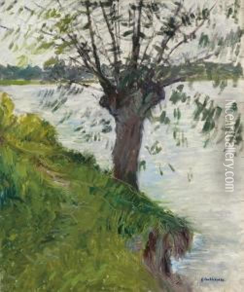 Saule Au Bord De La Riviere Oil Painting - Gustave Caillebotte