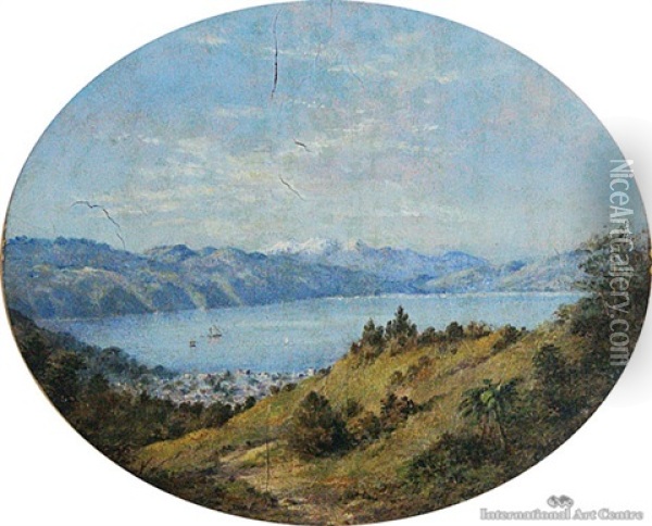 Wellington Harbor Oil Painting - Charles Decimus Barraud
