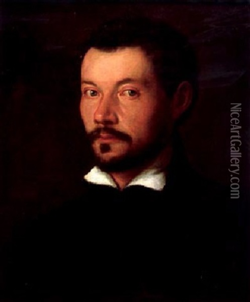 Bildnis Eines Edelmannes Oil Painting - Giovanni Paolo Lolmo