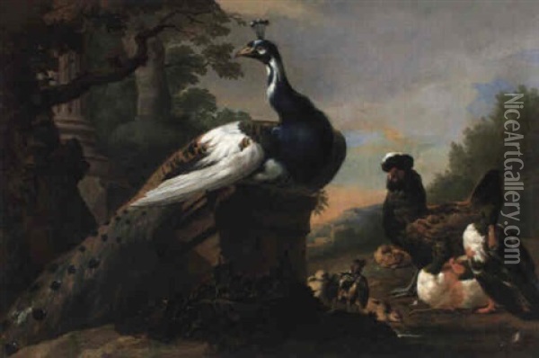 Sitzender Pfau, Enten, Ein Huhn Und K_ken Am Wasser Oil Painting - Pieter Casteels III
