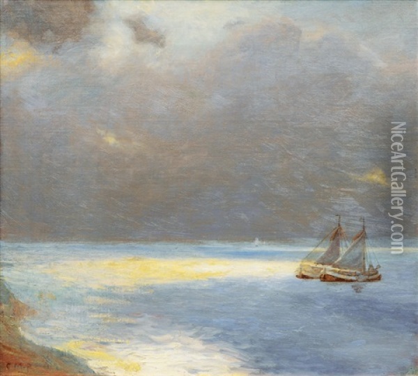 Sailing Boats And Marine Phosphorescence Oil Painting - Christian Vilhelm Mourier-Petersen
