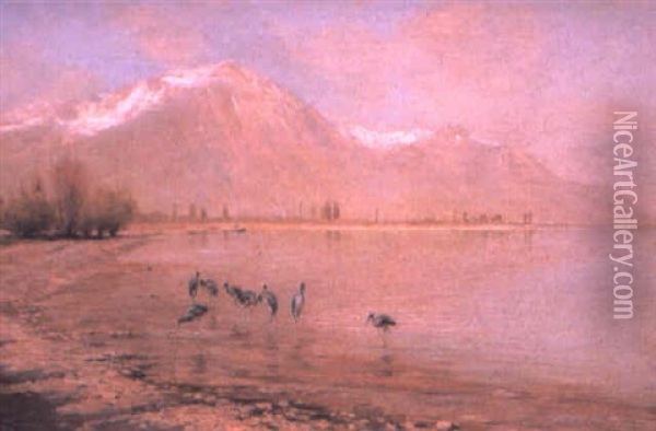 Cranes At The Edge Of Lake Leman Oil Painting - Holger Hvitfeldt Jerichau