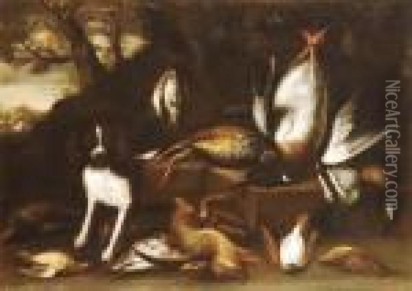Natura Morta Con Cane E Cacciagione Oil Painting - Giovanni Agostino Cassana