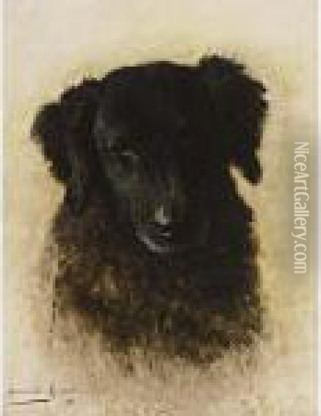 A Dog Oil Painting - Henriette Ronner-Knip