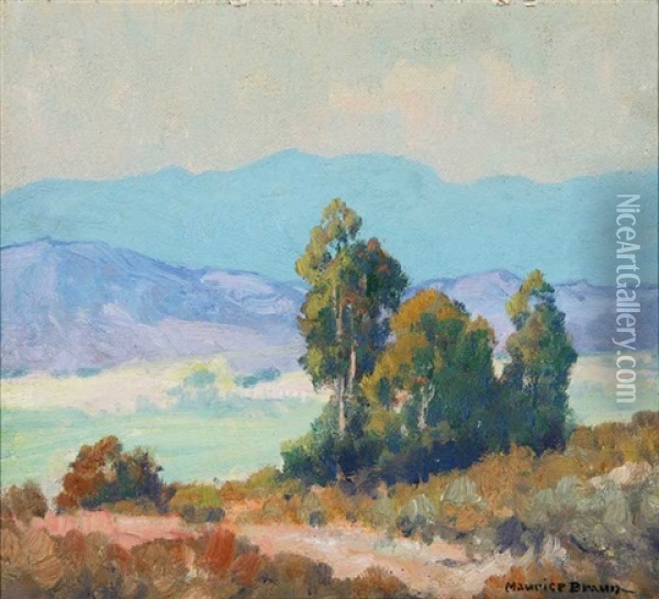 San Diego Area Landscape Oil Painting - Maurice Braun