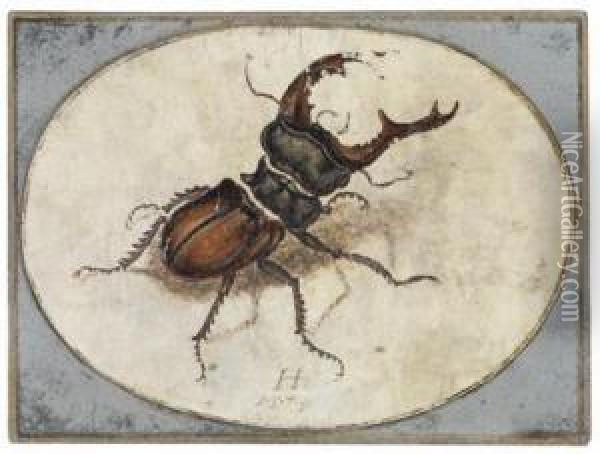 A Stag Beetle Oil Painting - Hans Hoffmann