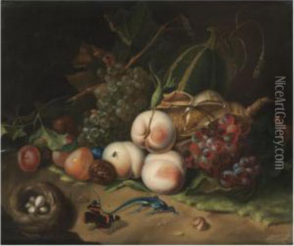A Forest Floor Still Life With 
Horse Chestnuts, Peaches, Grapes, Abird's Nest And A Lizard Oil Painting - Rachel Ruysch