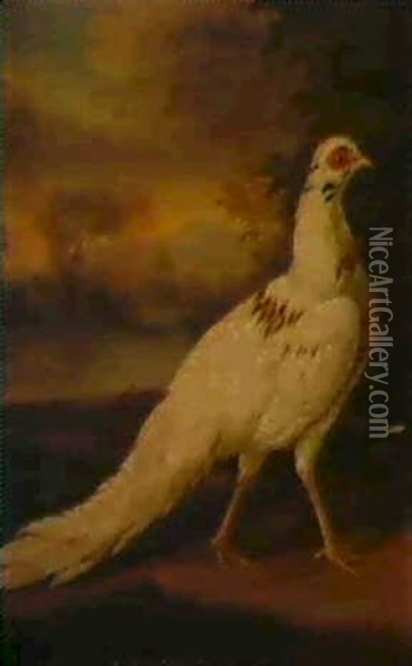 A White Pheasant In A River Landscape Oil Painting - Stephen Elmer