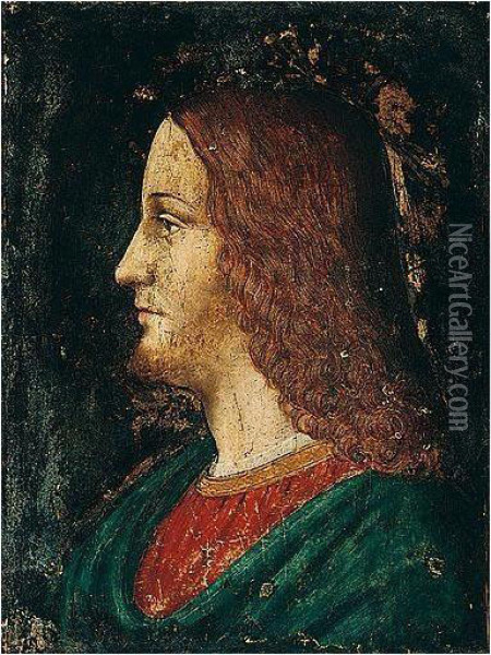 A Study Of The Head Of Christ, In Profile Oil Painting - Dei Bernardino Conti